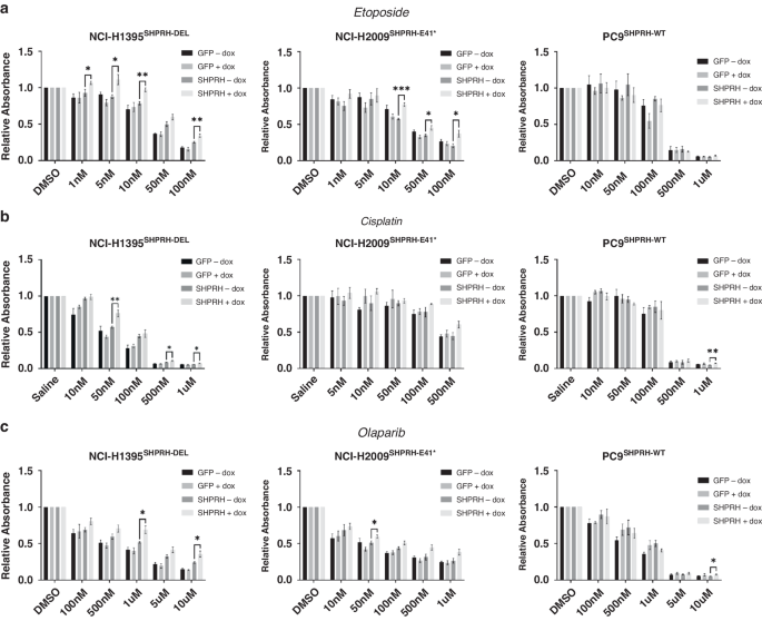 Fig. 7: SHPRH expression affects colony formation in response to certain chemotherapeutics and targeted therapies, in vitro.