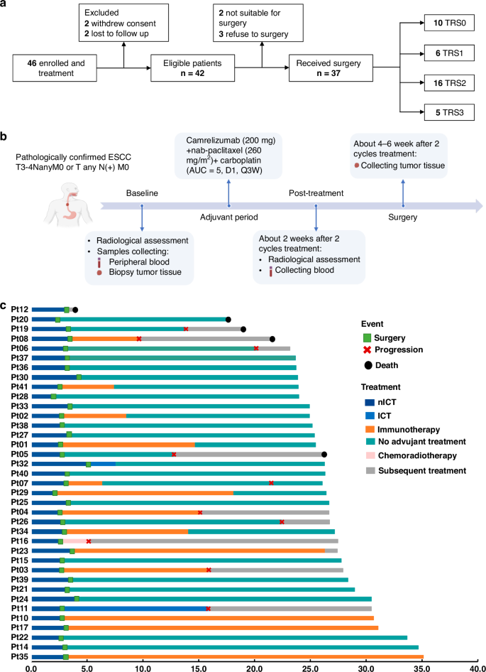 Fig. 1: The study design.