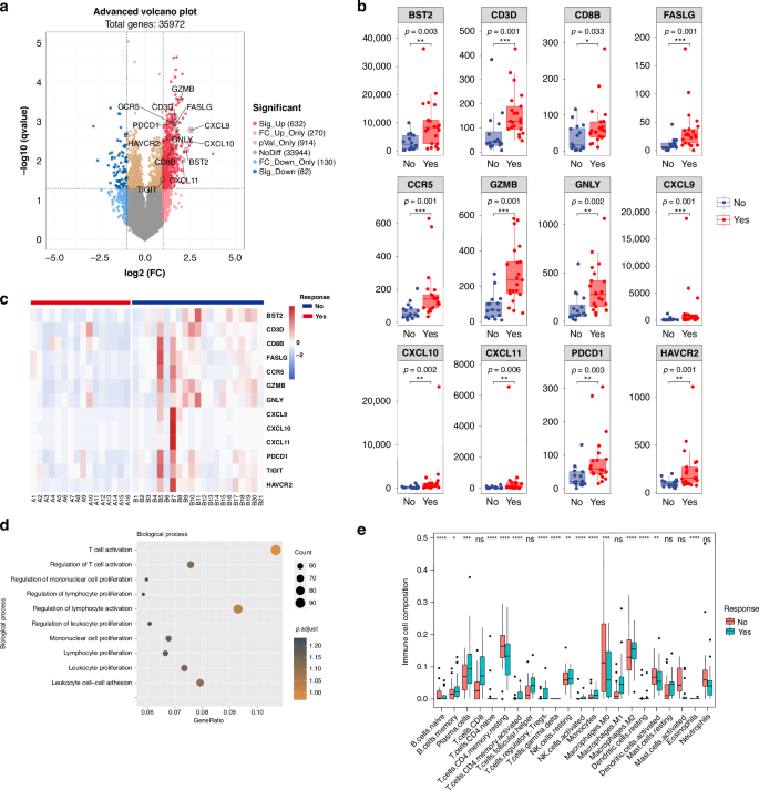 Fig. 3: RNA-seq analysis of tumour specimens at baseline (n = 37).