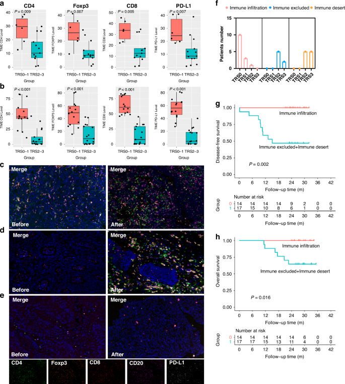 Fig. 4: T cell infiltration and TIME types in the tumour tissue by mIF.