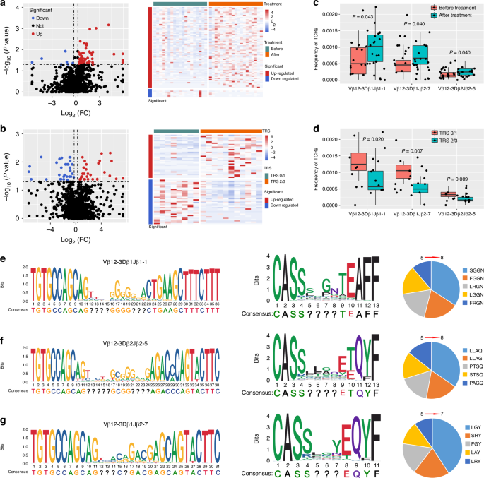 Fig. 6: TCR-seq analysis of 19 paired peripheral blood samples before and after nICT treatment.