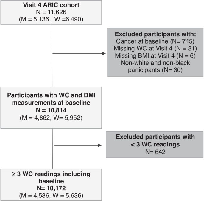 Fig. 1: Flow diagram of individuals in the ARIC cohort. Excluded individuals (dark grey). Included individuals (light grey). Waist circumference-related exclusion criteria were observational level exclusions but led to individual exclusions if all waist circumference readings were outside the range.