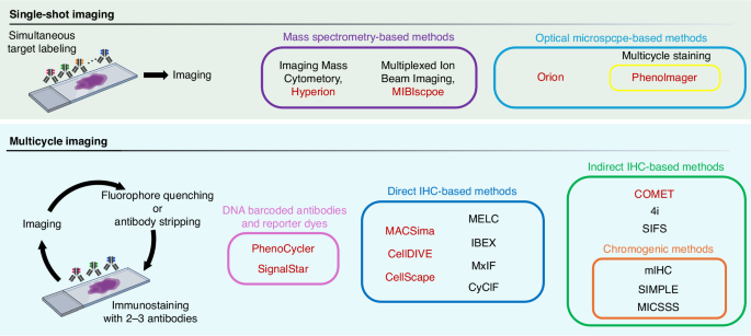 Spatial analysis by current multiplexed imaging technologies for the ...