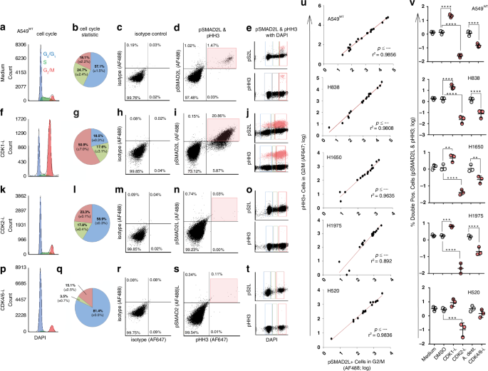Fig. 2: Effects of CDK inhibitors on cell cycle, pSMAD2L and pHH3 expression in NSCLC cell lines.
