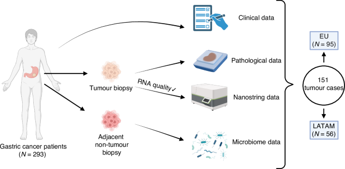 Fig. 1: Study outline.