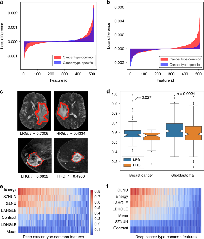 Multiscale Pancancer Analysis Uncovers Intrinsic Imaging and Molecular ...