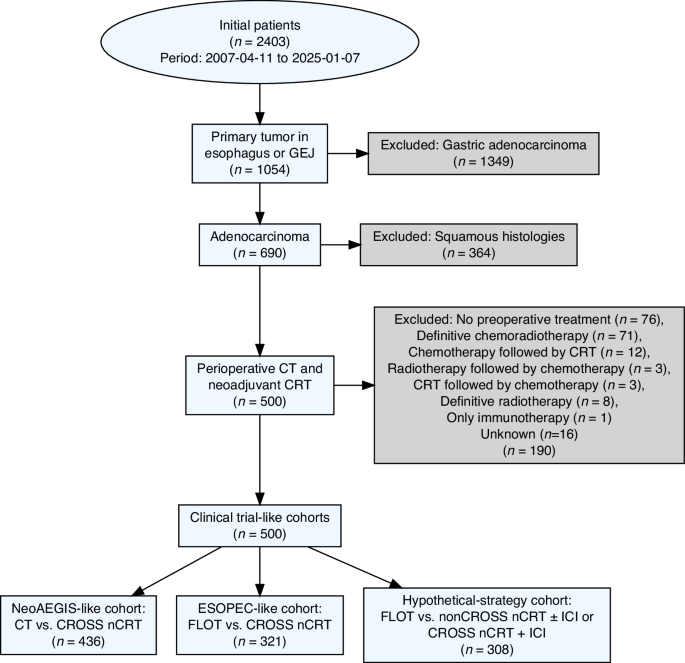 Fig. 1: Study flowchart.