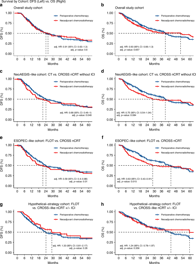 Fig. 2: Disease-free survival (DFS) and overall survival (OS) across cohorts.