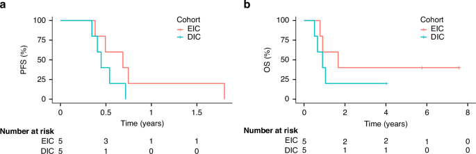 Fig. 1: Kaplan–Meier curves of PFS and OS in the EIC and DIC cohorts.
