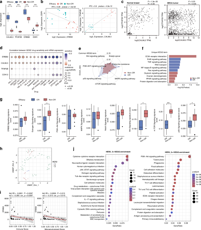 Fig. 2: Identification of baseline malignant signatures in distinct responsive regions to KN026 treatment.