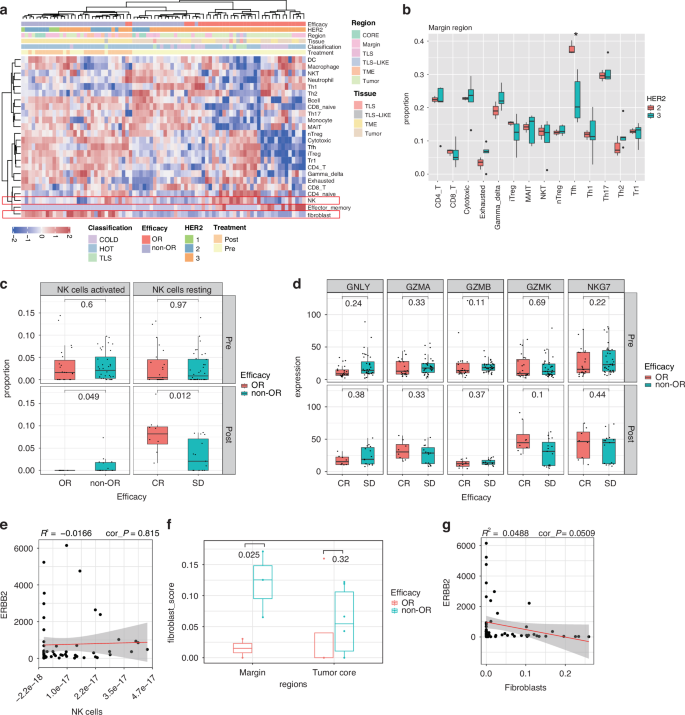 Fig. 5: DSP describes immune cells with striking difference in distinct TME regions related to treatment response.