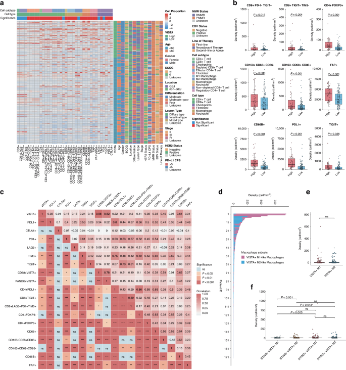 Fig. 3: Expression patterns of unique TIICs in VISTA-high/low tissues.
