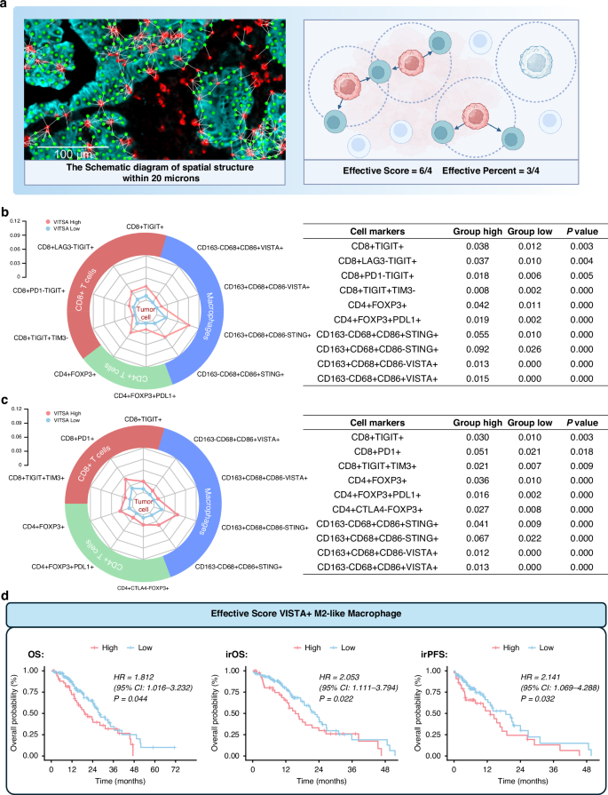 Fig. 4: Spatial distribution of TIICs in VISTA-High GC.