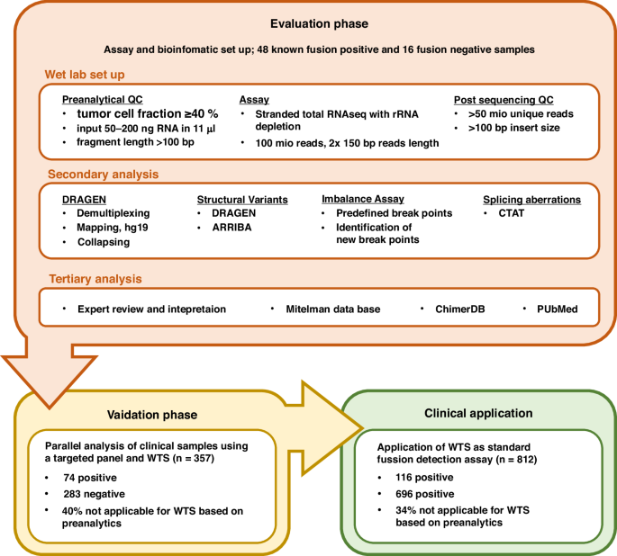 Fig. 1: Study design and overview of the three phases of implementation of the WTS depletion assay in clinical practice.