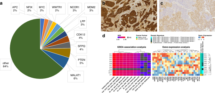 Fig. 6: Further applications of WTS in the diagnostic setup.