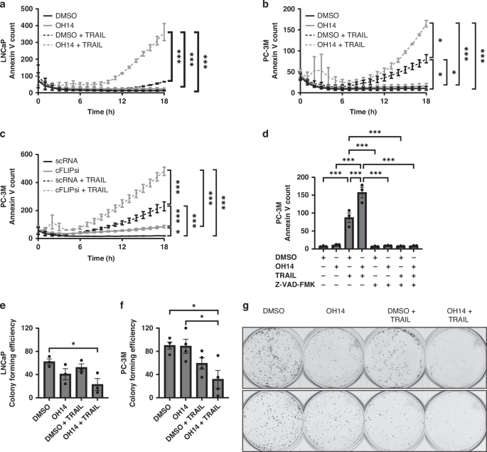 Fig. 1: Investigating the response of prostate cancer cell lines to OH14 and TRAIL.