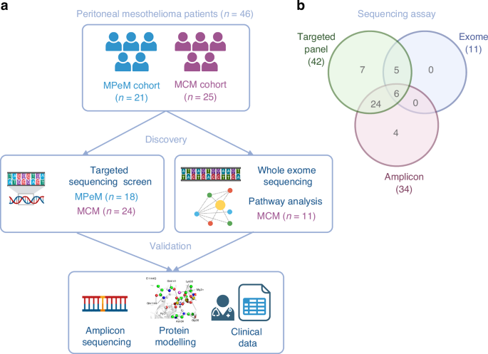 Fig. 1: Experimental overview.