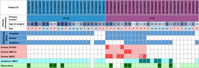 Fig. 4: Matrix showing clinical information, assay type, and cohesin mutations across MPeM and MCM cases.