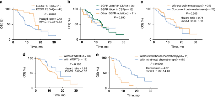 Fig. 4: Kaplan–Meier analysis showing the OS of patients in different categories.