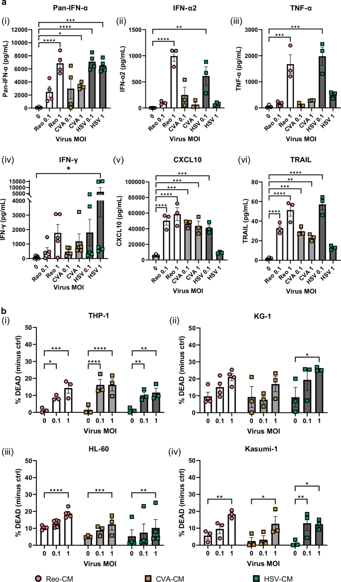 Fig. 1: Molecularly distinct OV induce similar cytokine profiles and stimulate AML cell death.