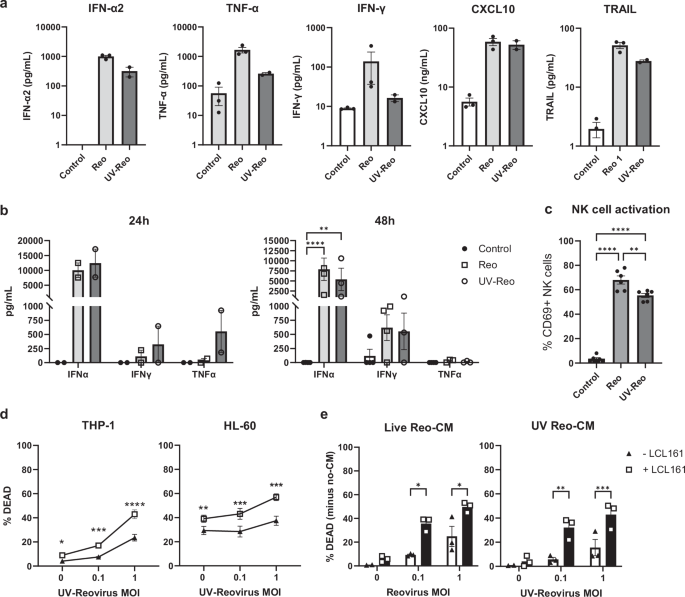 Fig. 6: UV-inactivated reovirus can induce inflammation and kill AML cells in the presence of apoptotic modulators.