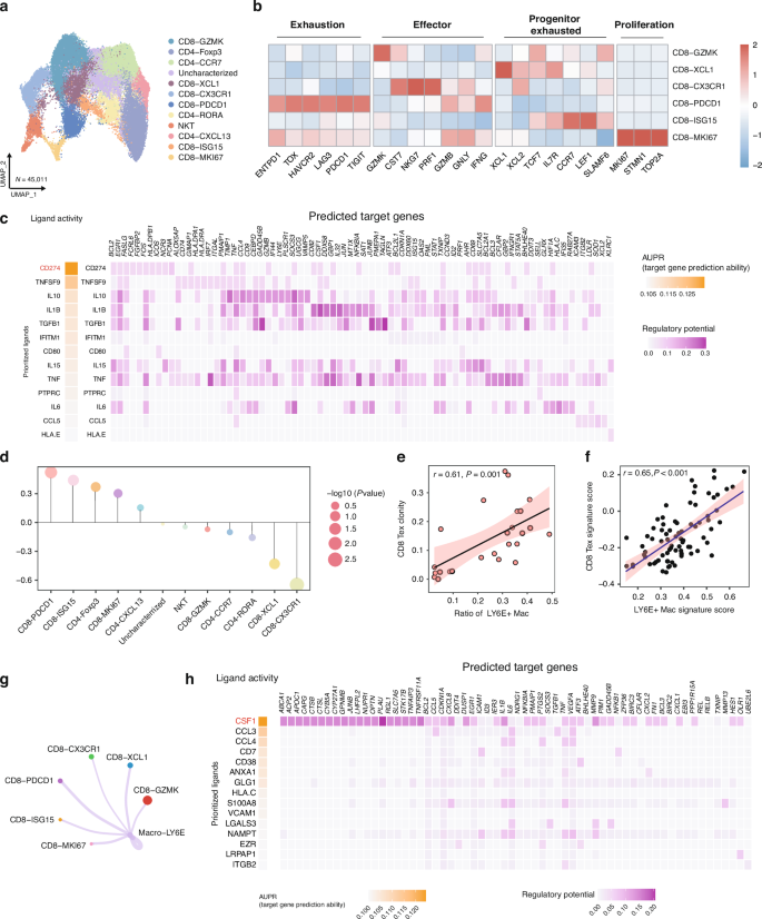 Fig. 4: High infiltration of LY6E+ macrophages is associated with exhausted CD8+ T cells.