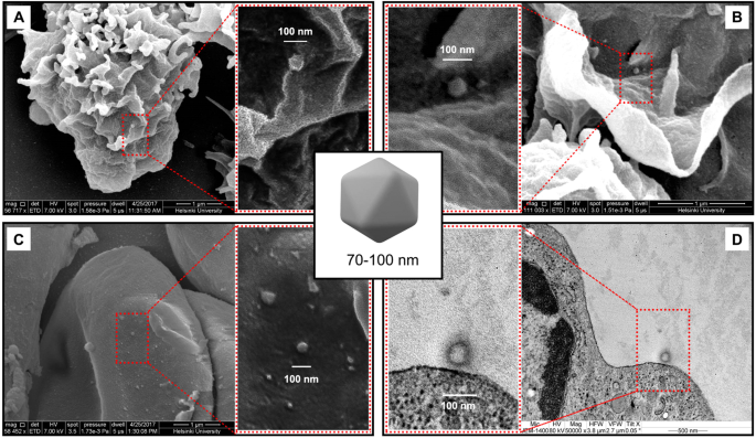 figure3
