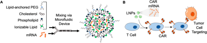 Delivery Technologies To Engineer Natural Killer Cells For Cancer Immunotherapy Cancer Gene Therapy