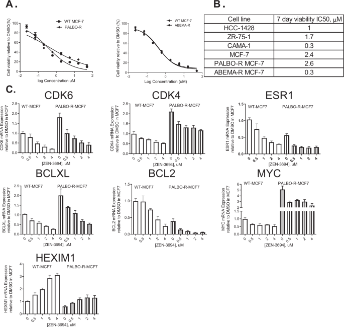Combination of ZEN3694 with CDK4/6 inhibitors reverses acquired