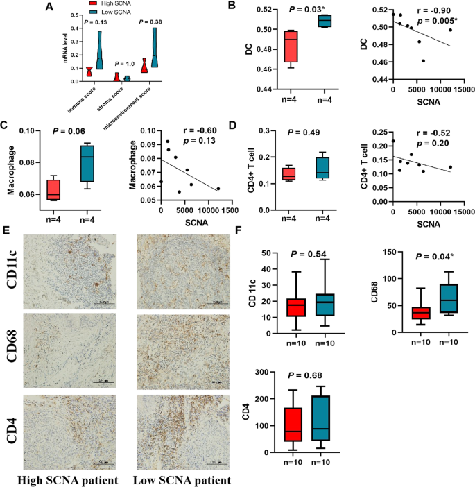 Somatic copy number alteration predicts clinical benefit of lung  adenocarcinoma patients treated with cytokine-induced killer plus  chemotherapy | Cancer Gene Therapy