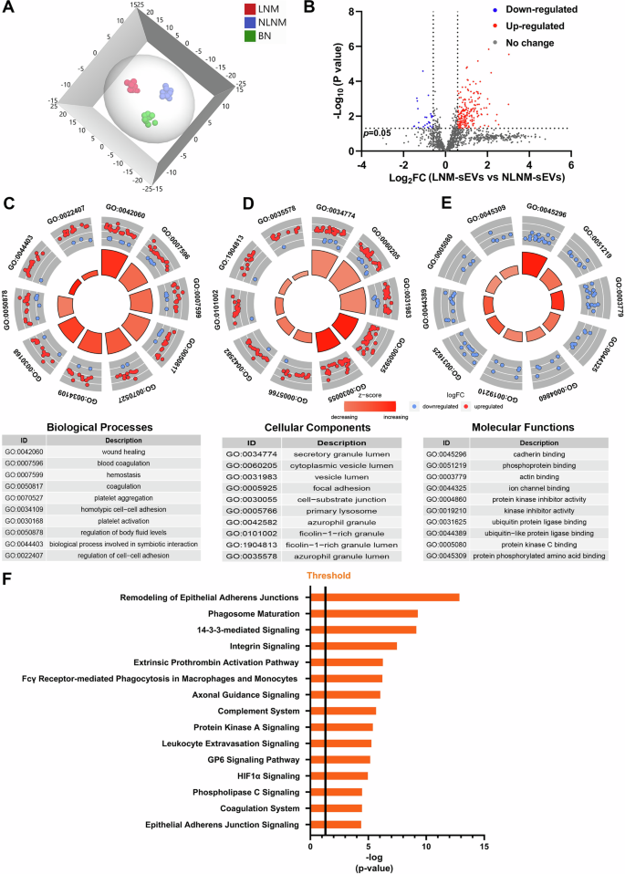 Fig. 3: Comparative analysis of proteome expression profiles between the LNM and NLNM groups.