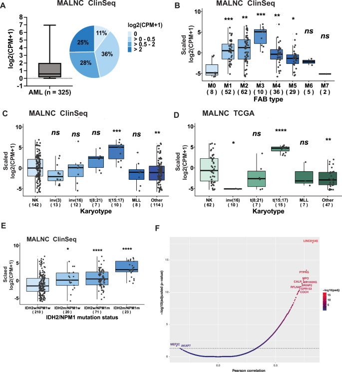 Fig. 3: MALNC associates with APL and IDH2R140/NPM1-mutated AML.