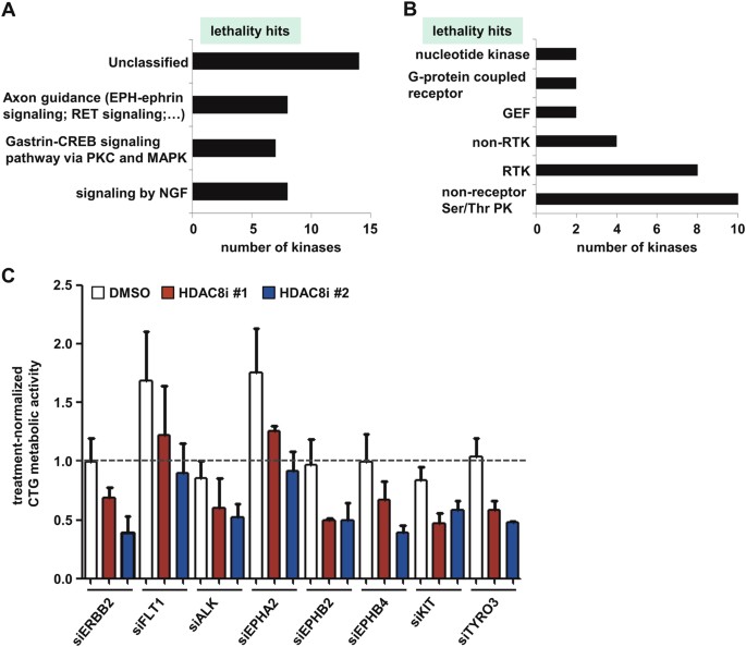 A Kinome Wide Rnai Screen Identifies Alk As A Target To Sensitize Neuroblastoma Cells For Hdac8 Inhibitor Treatment Cell Death Differentiation