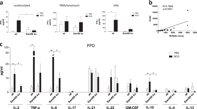 The RNA binding protein Sam68 controls T helper 1 differentiation and  anti-mycobacterial response through modulation of miR-29 | Cell Death &  Differentiation