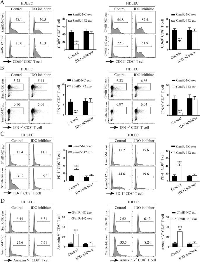 Fig. 6: miR-142-5p-activated HDLECs induce IDO to exhaust CD8+ T cells.