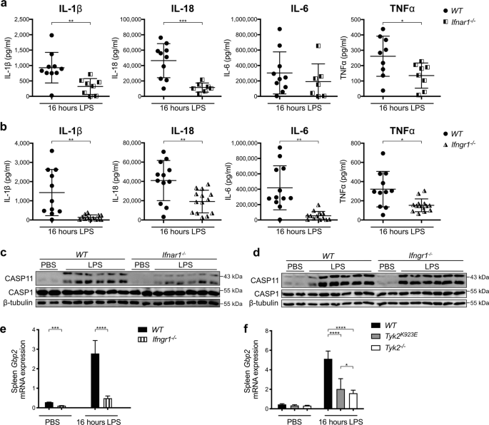 TYK2 licenses non-canonical inflammasome activation during endotoxemia |  Cell Death & Differentiation