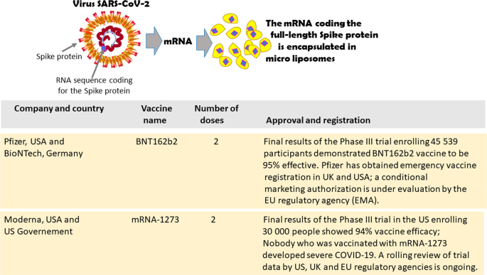 Covid 19 Vaccines Where We Stand And Challenges Ahead Cell Death Differentiation