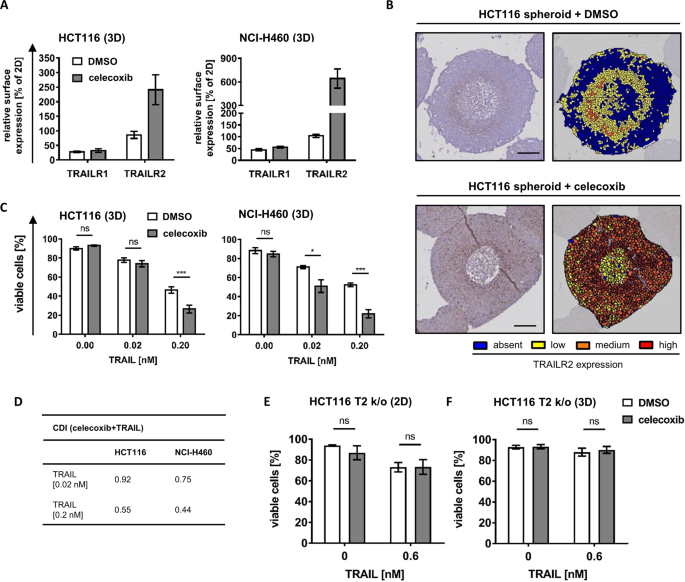 Fig. 5: COX-II inhibitor celecoxib enhances TRAILR2 expression and synergizes with TRAIL treatment in eliminating cancer cell spheroids.
