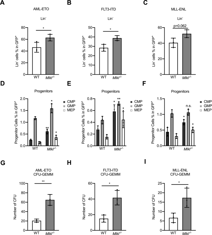 Fig. 2: MLKL deletion restricts malignant myeloid differentiation.