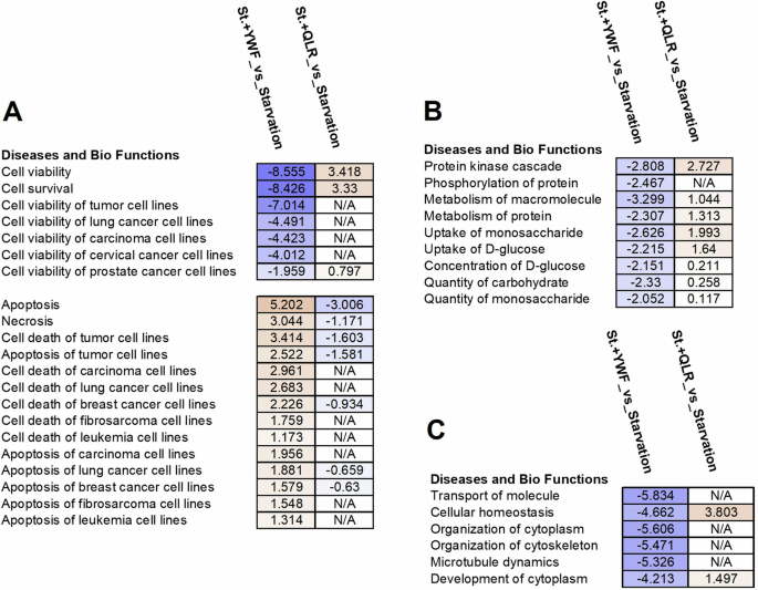 Fig. 2: The effect of YWF on gene expression.
