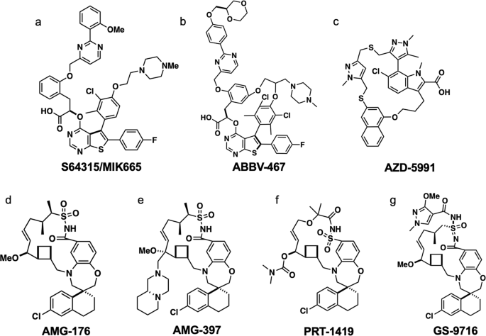 Fig. 8: The structures of MCL-1 inhibitors that entered clinic trials.