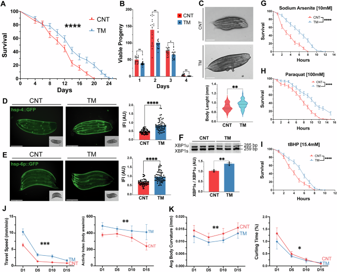 Fig. 4: Activation of UPRER in C. elegans at an early developmental stage increased longevity, stress resistance and fitness.