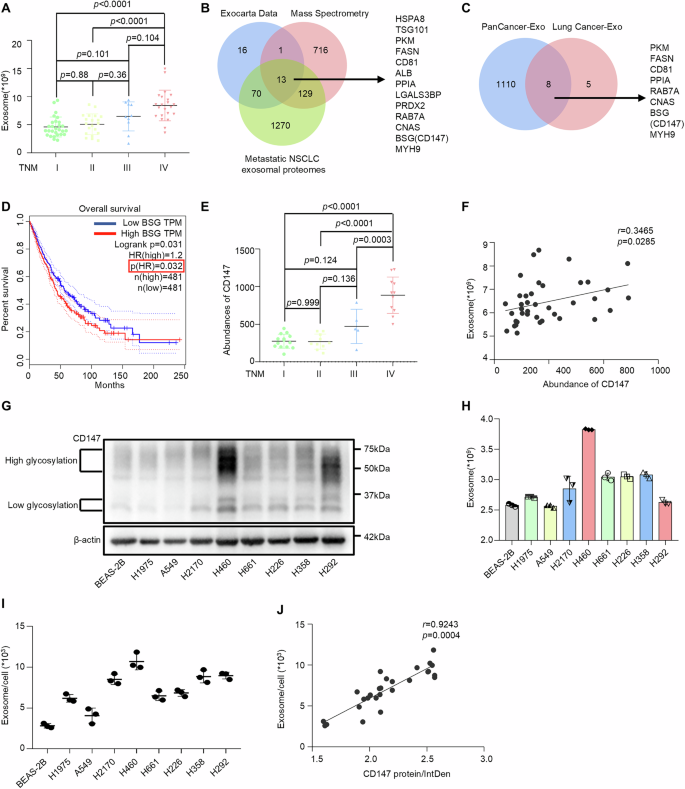 Fig. 1: CD147 expression positively correlates with exosome secretion in NSCLC progression.