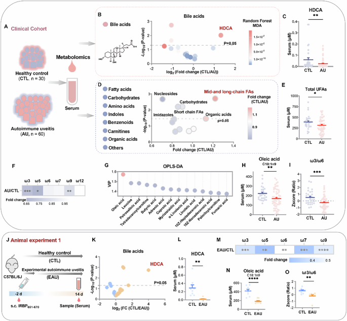 Fig. 1: Cross-species AU metabolomics reveals HDCA and oleic acid deficits.