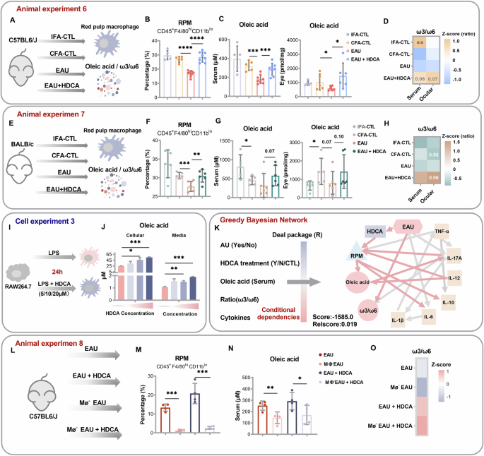 Fig. 4: HDCA facilitates RPM-dependent oleic acid homeostasis.