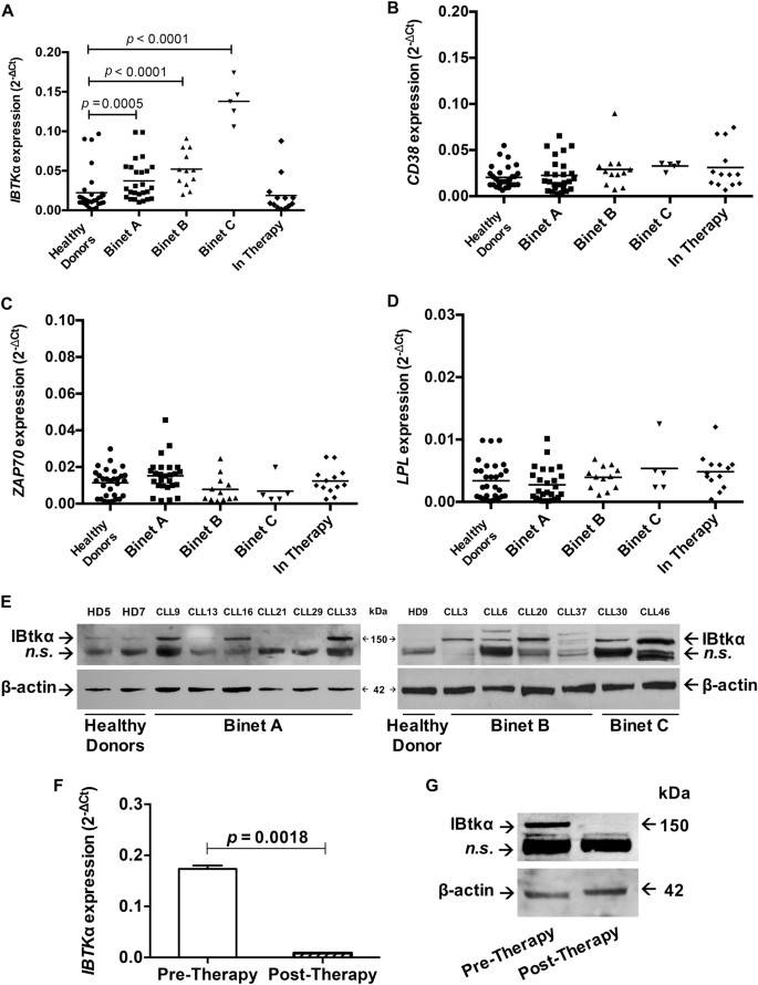 The Expression Of Inhibitor Of Bruton S Tyrosine Kinase Gene Is Progressively Up Regulated In The Clinical Course Of Chronic Lymphocytic Leukaemia Conferring Resistance To Apoptosis Cell Death Disease