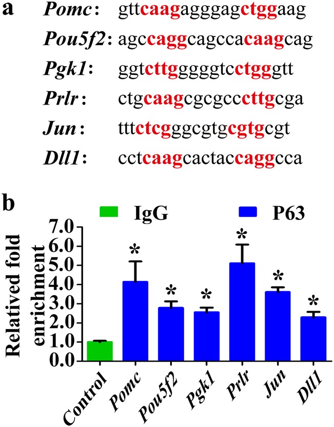 figure 9