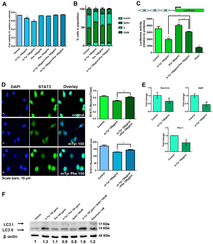Fig. 6: In vitro m-Tyr downregulates key signaling pathways in PCa
