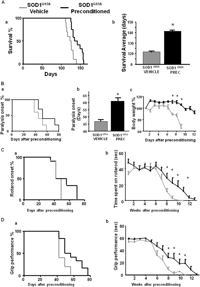 Fig. 7: Effect of l-BMAA-induced PC on survival, paralysis onset, body weight reduction, and motor functions in SOD1 G93A mice.
