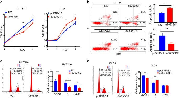 Fig. 2: u50535 enhances CRC cell proliferation, inhibits apoptosis and accelerates cell cycle.